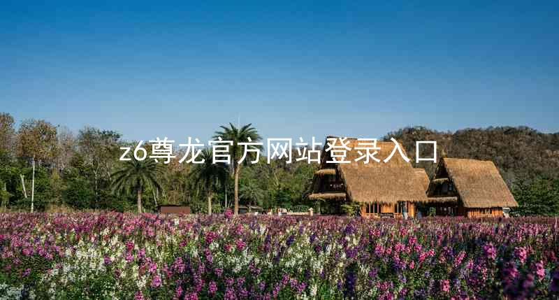z6尊龙官方网站登录入口